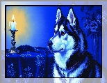 Świeca, Grafika, Pies, Materiał, Siberian husky